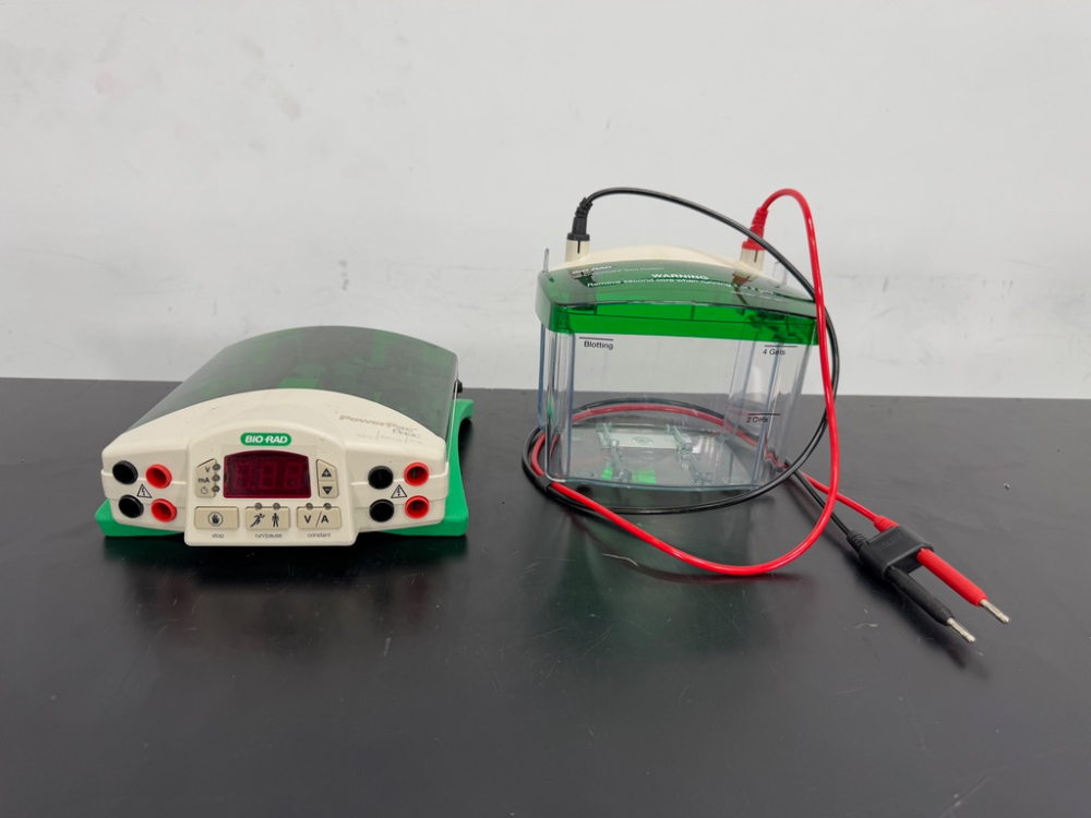 Image of Bio-Rad PowerPac Basic Electrophoresis Power Supply